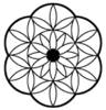 12-fold flower of life